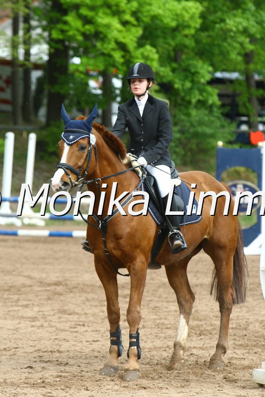 104M3934_Ricodero_StispringWB E.JPG